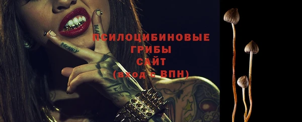 ALPHA-PVP Гусь-Хрустальный