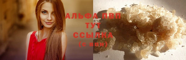 тгк Горняк