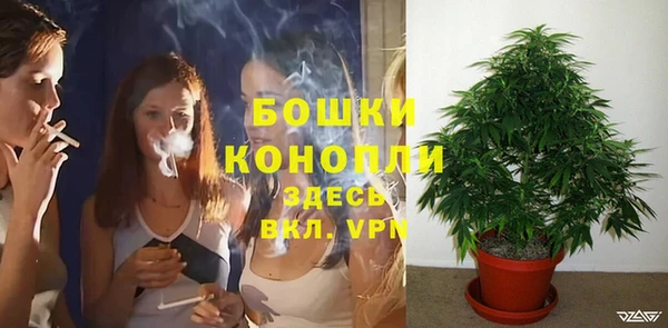 не бодяженный Гусев