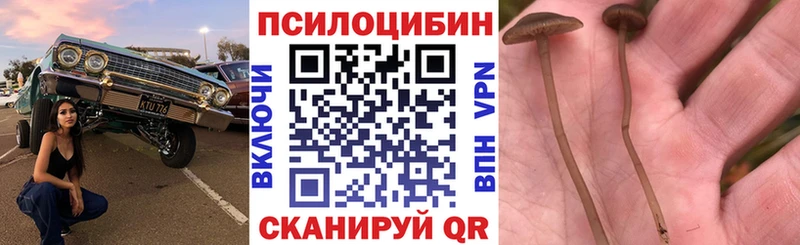 Галлюциногенные грибы MAGIC MUSHROOMS  kraken ТОР  Красногорск  купить  